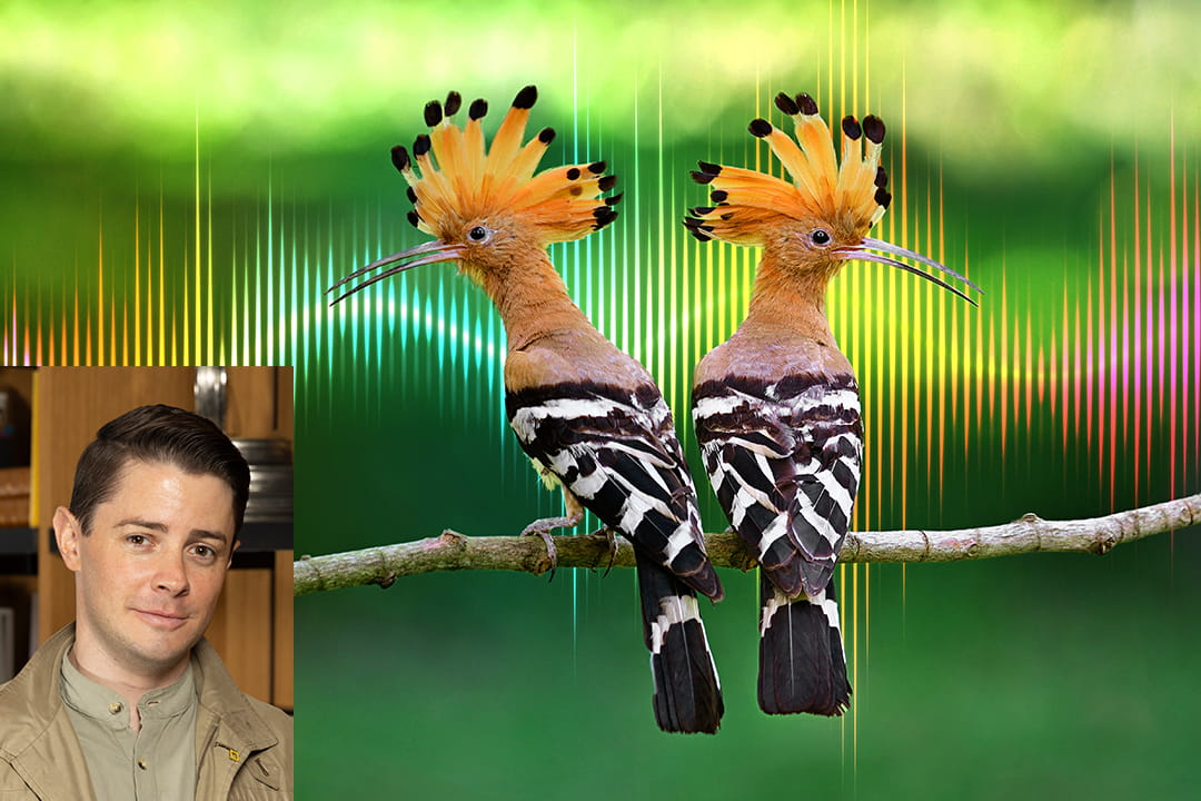 Nat Geo Live: Ben Mirin with Two Birds