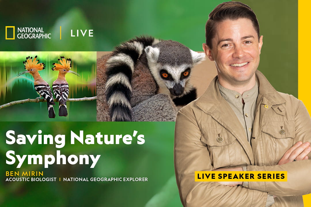 Nat Geo Live: Saving Nature's Symphony with Ben Mirin